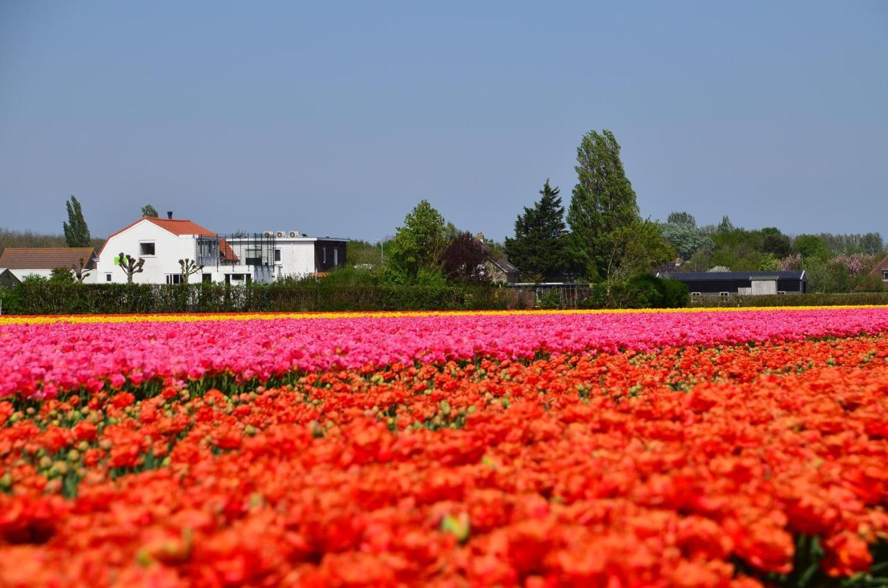 Wellness Bed & Breakfast Pergamo Voorhout Eksteriør bilde