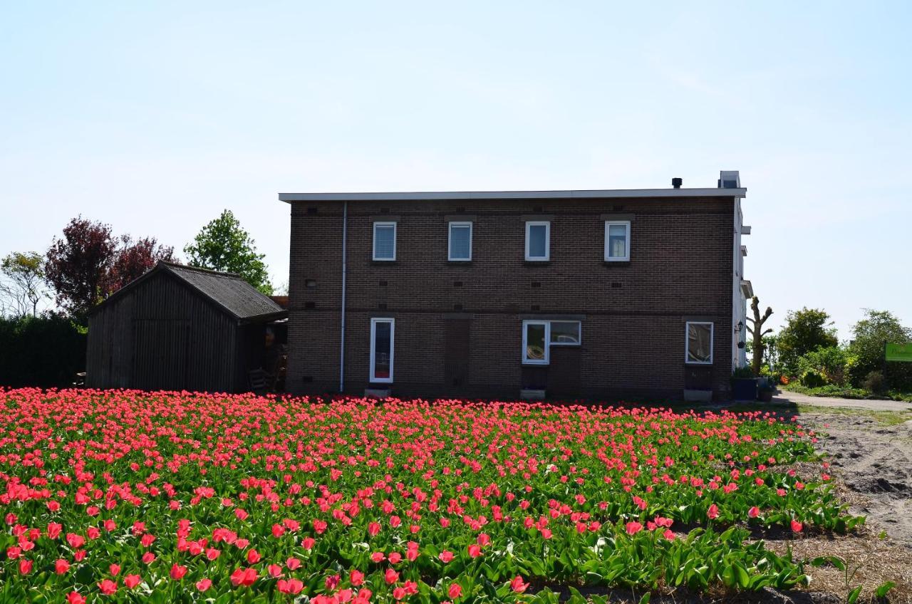Wellness Bed & Breakfast Pergamo Voorhout Eksteriør bilde